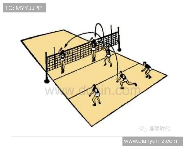 南京排球队战术解析与实战应用的深度探讨与思考