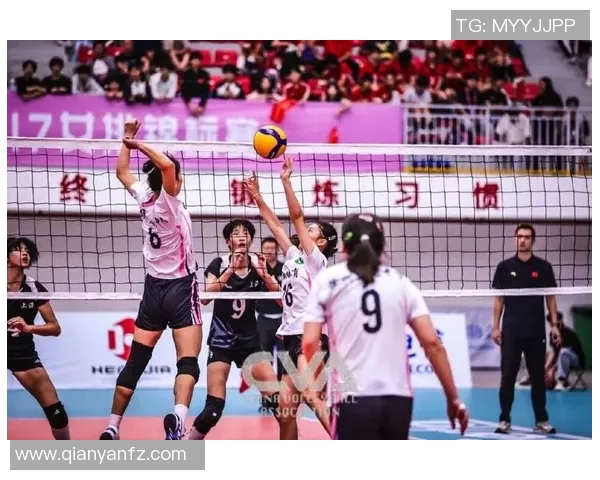 上海排球队领跑最新排球比赛经验TOP10分享助力球队提升竞技水平