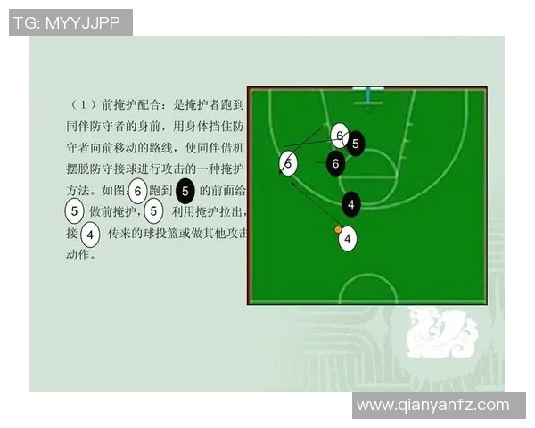 深圳篮球队实力揭秘：从战术到球员全面剖析篮球巨献的背后故事